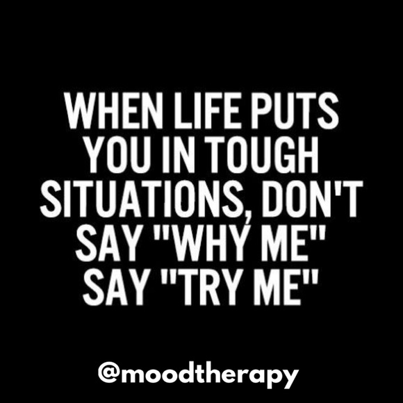 925 Sterling Silver Honey Bee Cartilage Helix Tragus Rook Conch Hoop Earring - Picture 9 of 9